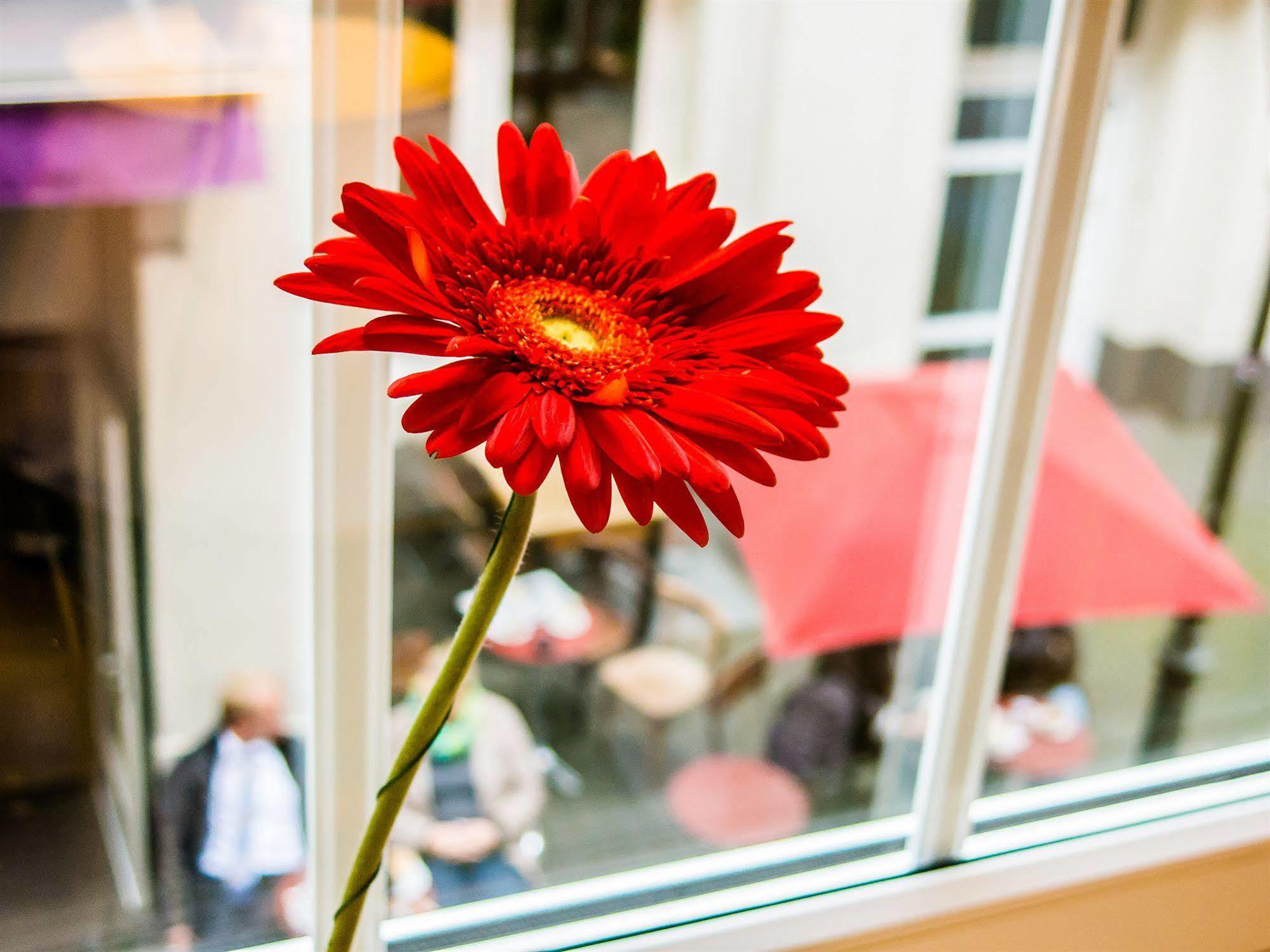 The Soho Altstadt Hotel Düsseldorf Zewnętrze zdjęcie